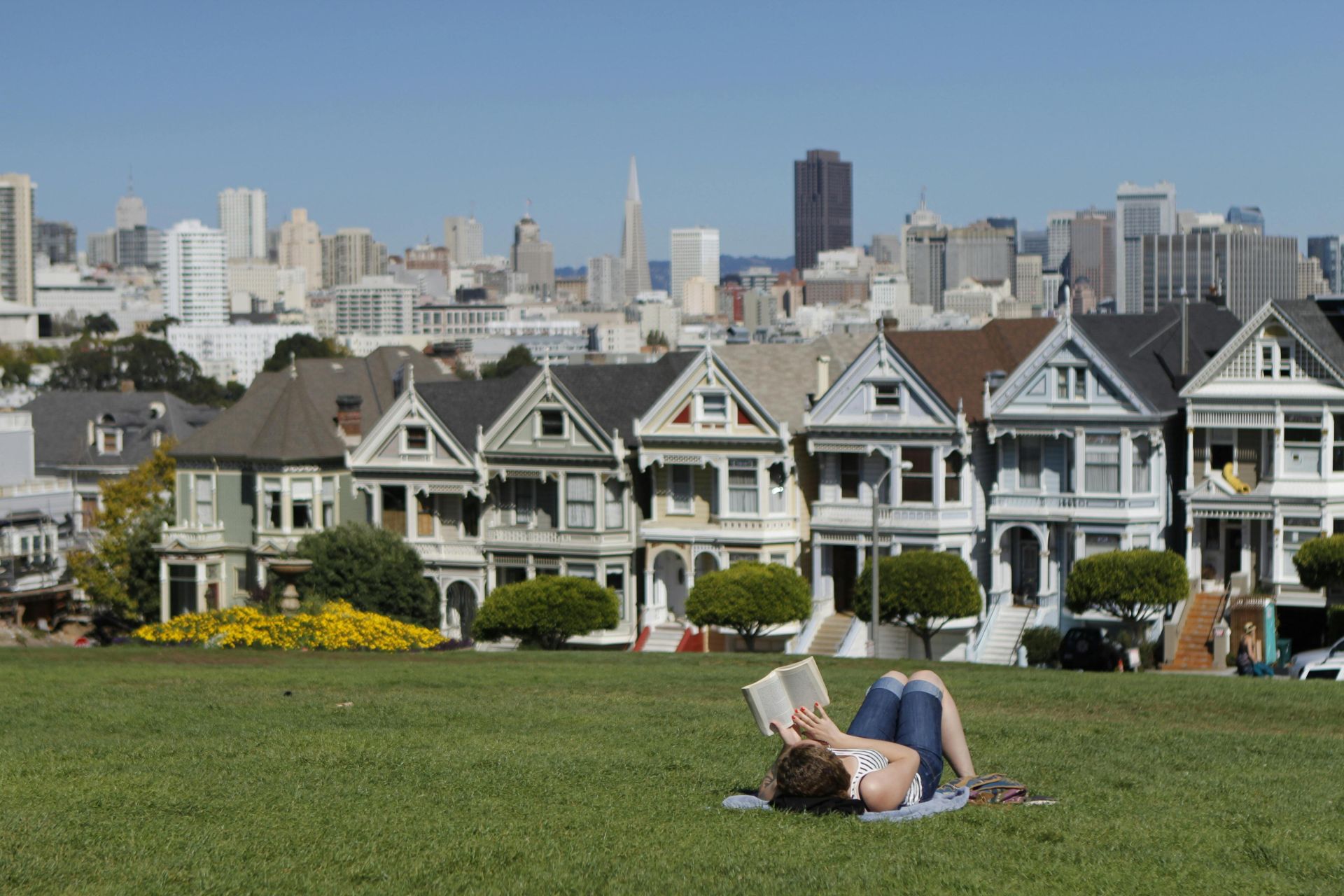 A woman reads in a park with San Francisco's iconic skyline and Painted Ladies in the background.